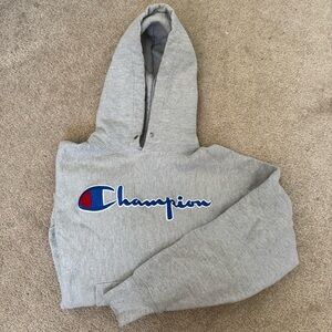 Classic Champion Hoodie